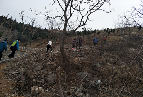 IMG20180306143122.jpg IMG20180306143122.jpg